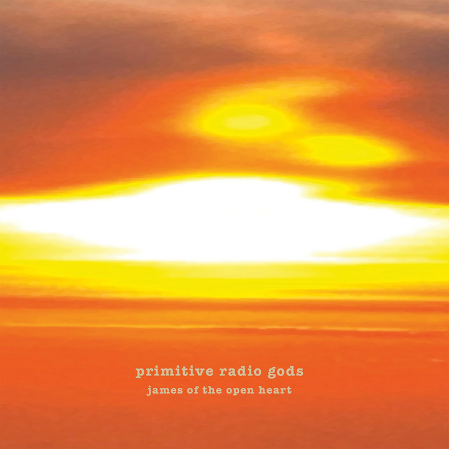 Primitive Radio Gods Members, Gear & Sound | Equipboard