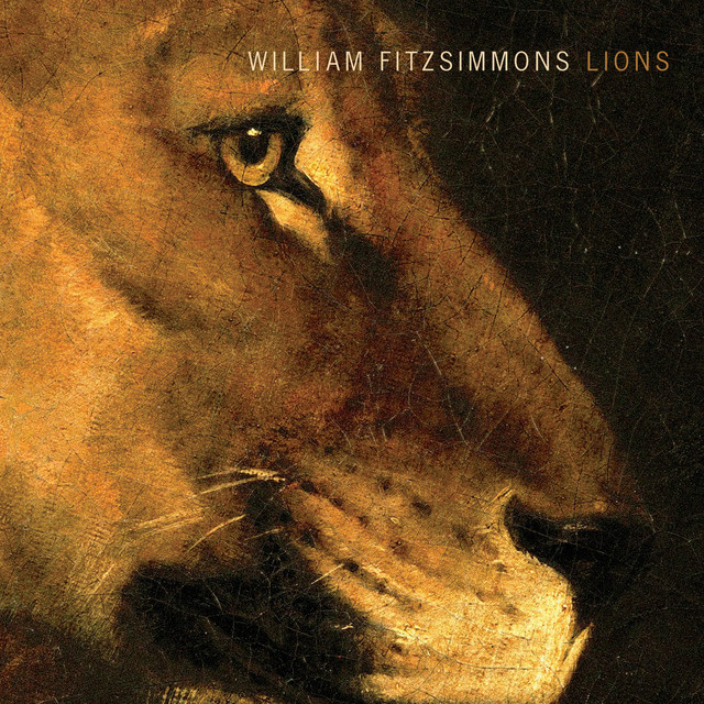 Lions album cover