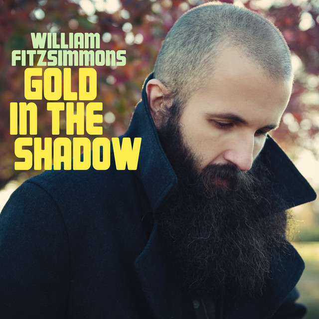 Gold In The Shadow (Deluxe Version) album cover