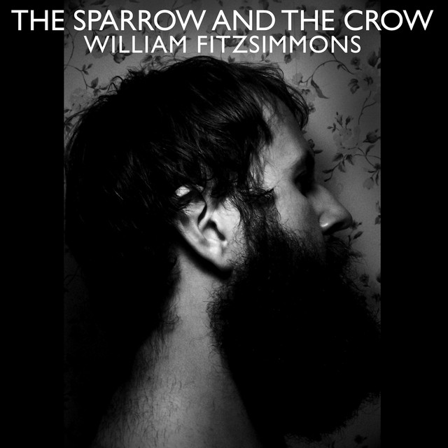 The Sparrow and the Crow album cover