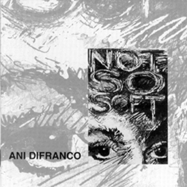 Not So Soft album cover
