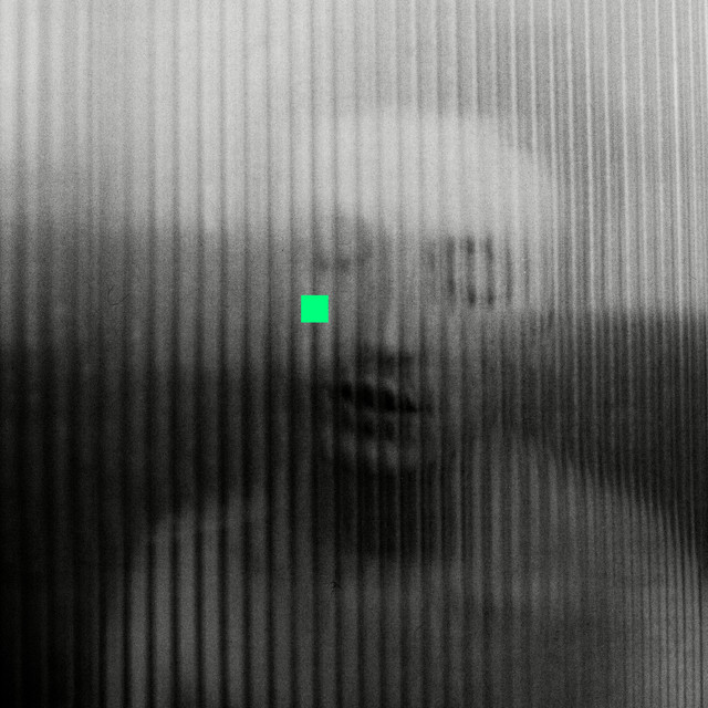 the love that you want album cover