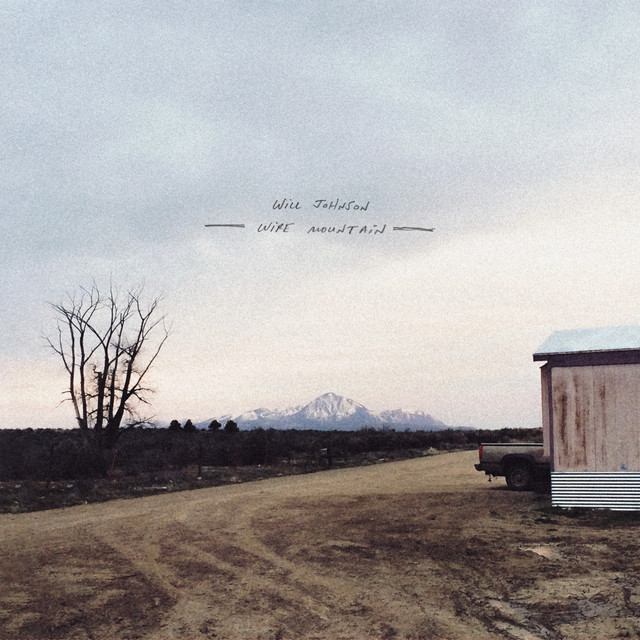 Wire Mountain album cover