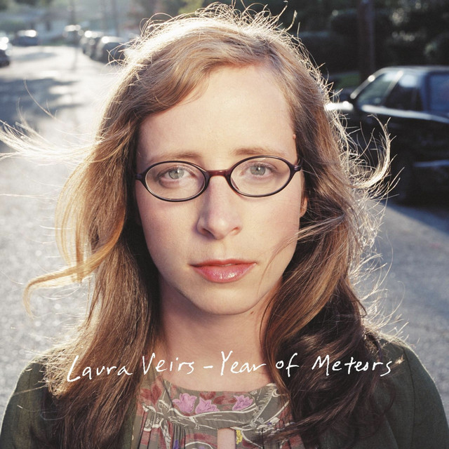 Year of Meteors album cover