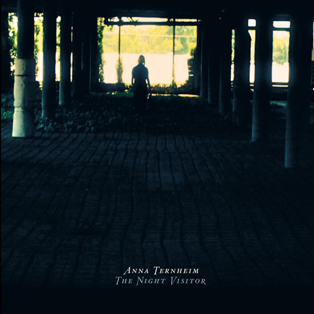 The Night Visitor album cover