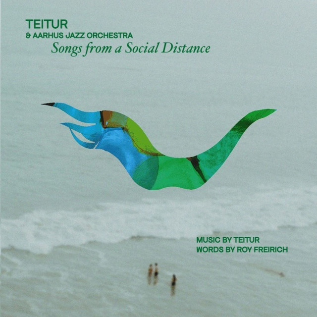 Songs From A Social Distance album cover