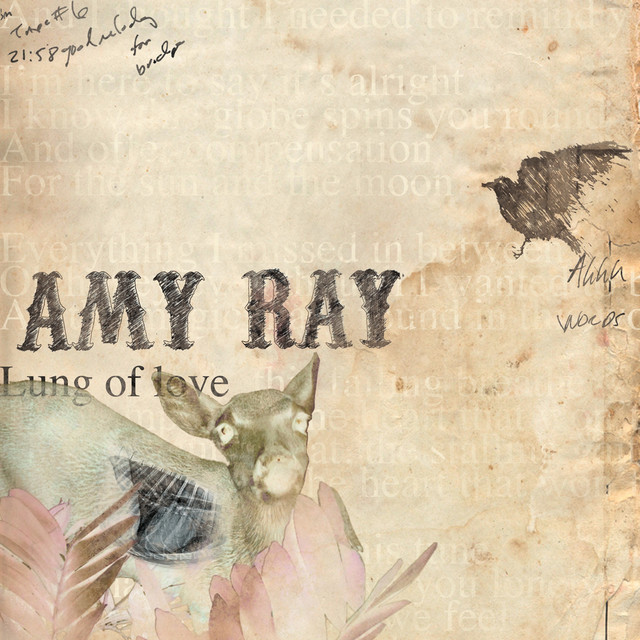 Lung of Love album cover