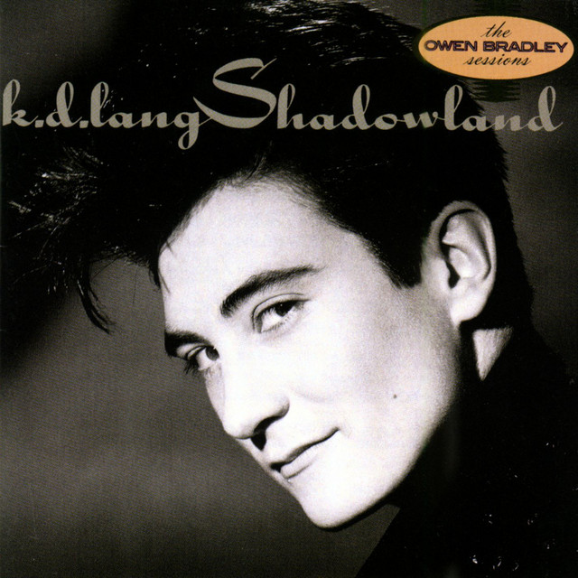 Shadowland album cover