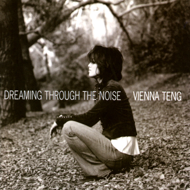 Dreaming Through The Noise album cover