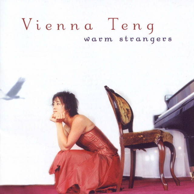 Warm Strangers album cover