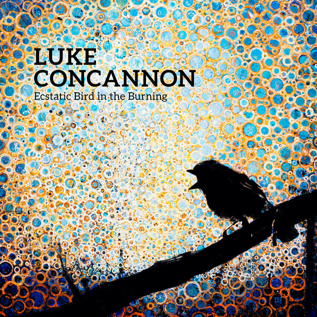 Ecstatic Bird in the Burning (US Version) album cover