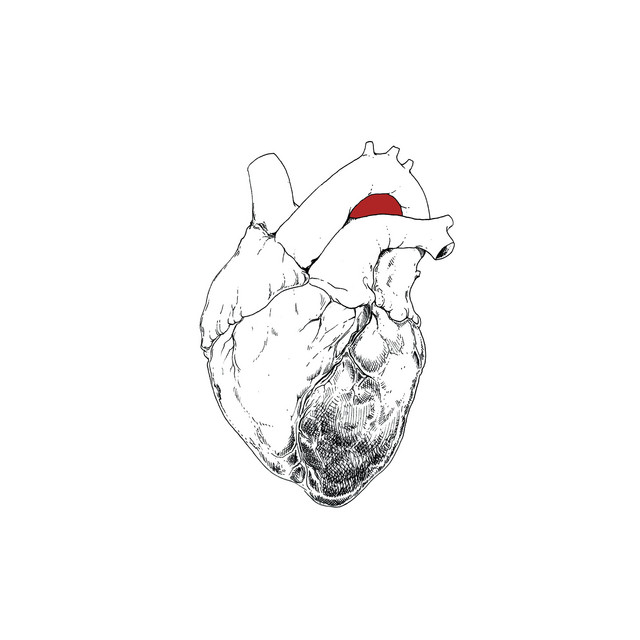The Beggar album cover