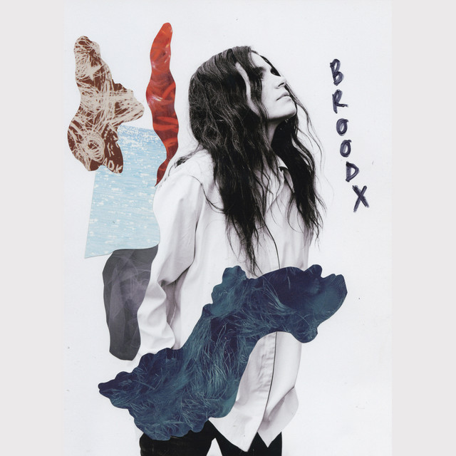 Brood X album cover