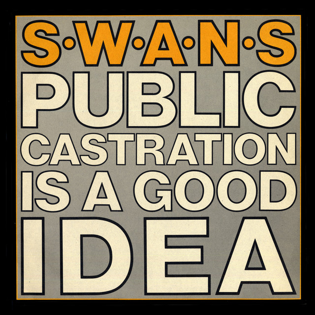 Public Castration Is A Good Idea album cover
