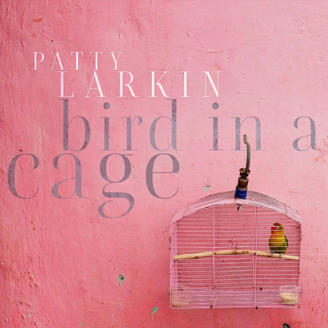 Bird in a Cage album cover