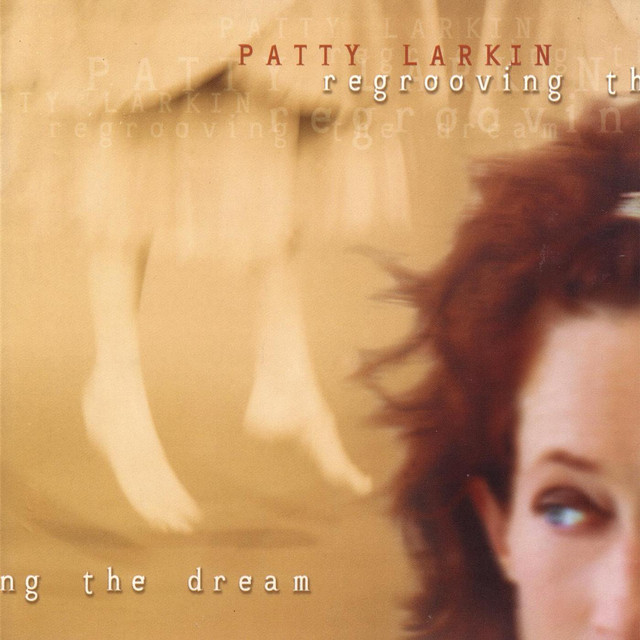 Regrooving The Dream album cover