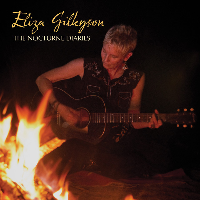 The Nocturne Diaries album cover