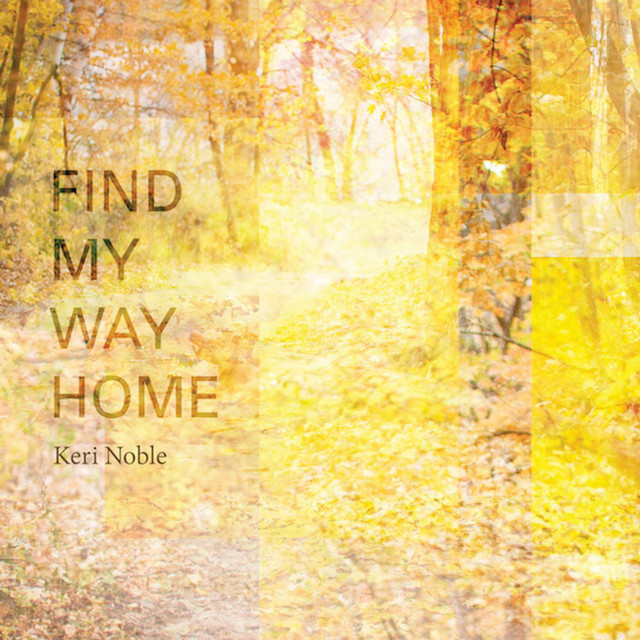 Find My Way Home album cover