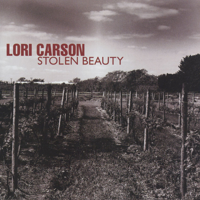 Stolen Beauty album cover