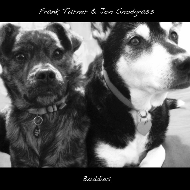 Buddies album cover