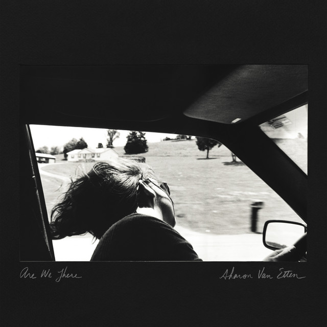MXR M193 GT-OD as heard on Are We There by Sharon Van Etten (2014)