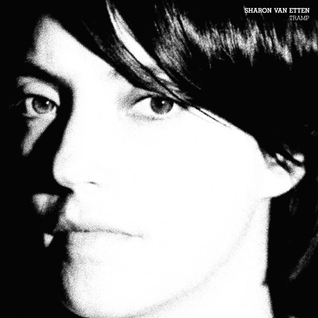 MXR M193 GT-OD as heard on Tramp by Sharon Van Etten (2012)