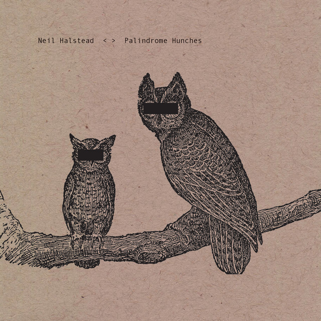 Palindrome Hunches album cover