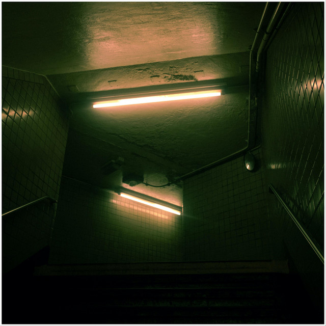 scr011 album cover