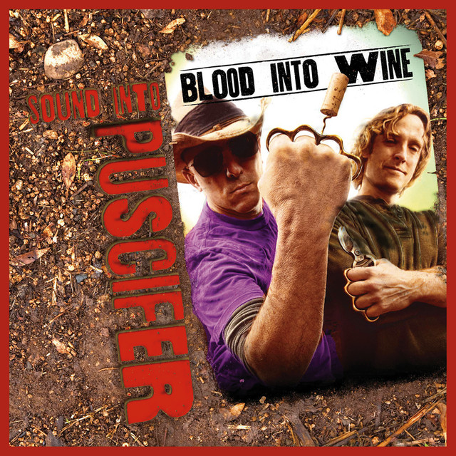 Sound Into Blood Into Wine album cover