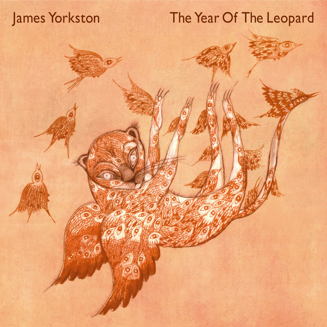 The Year Of The Leopard album cover