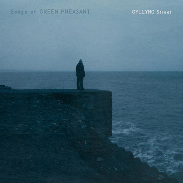 Gyllyng Street album cover