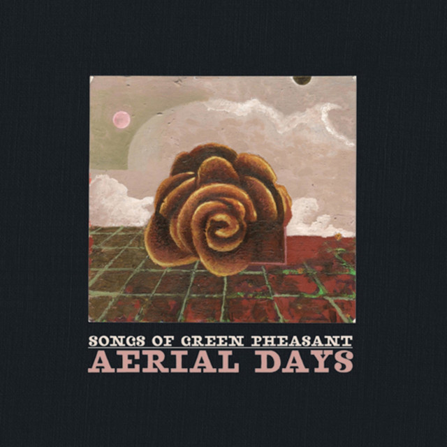 Aerial Days album cover