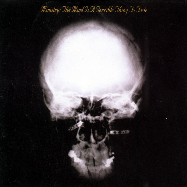 The Mind Is a Terrible Thing to Taste album cover