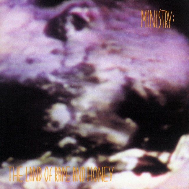 Land of Rape and Honey album cover