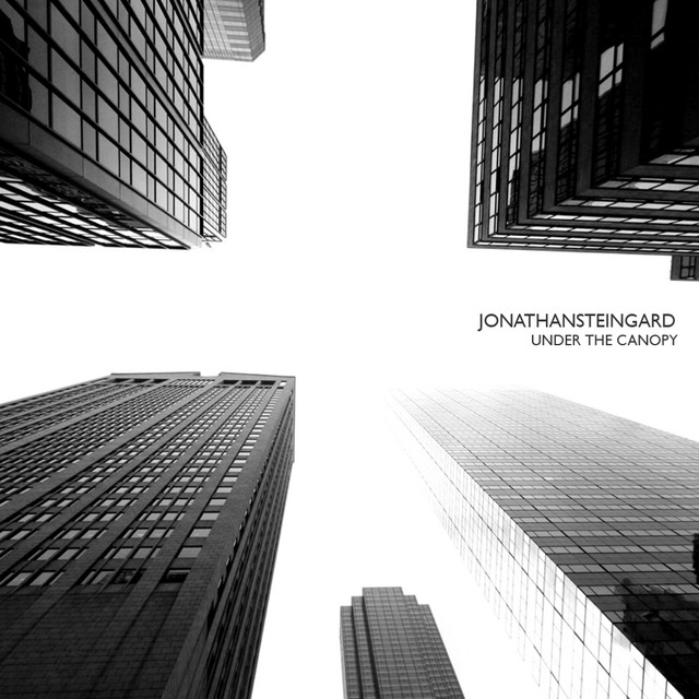 Under The Canopy album cover