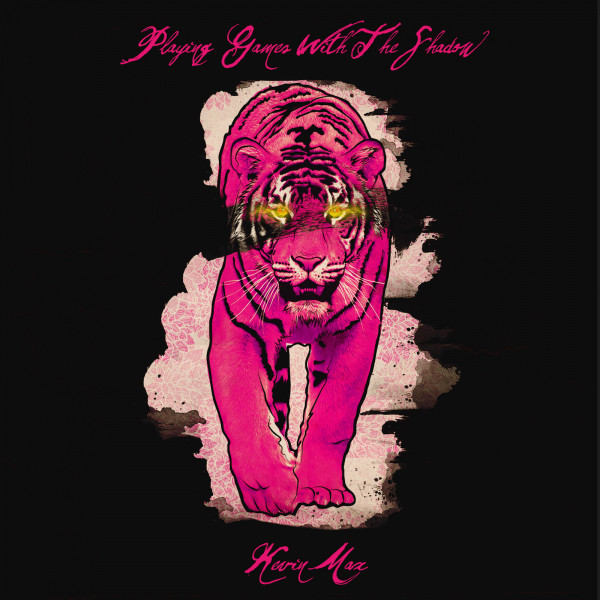 Playing Games With the Shadow album cover