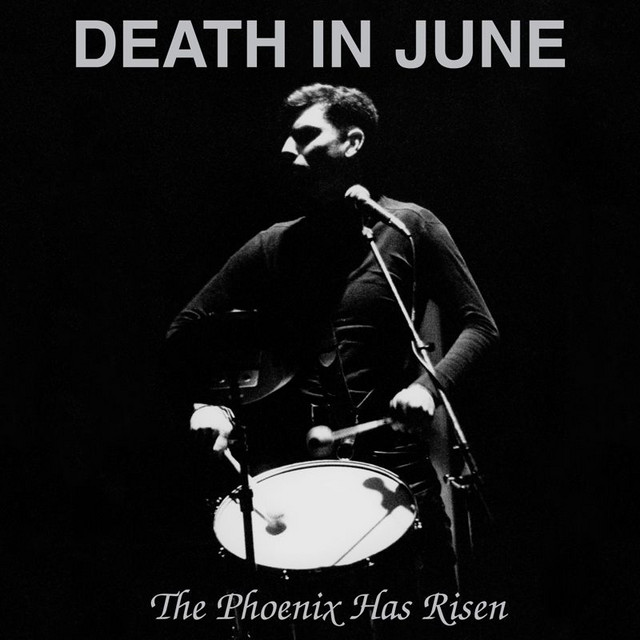The Phoenix Has Risen album cover