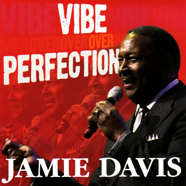 Vibe over Perfection album cover
