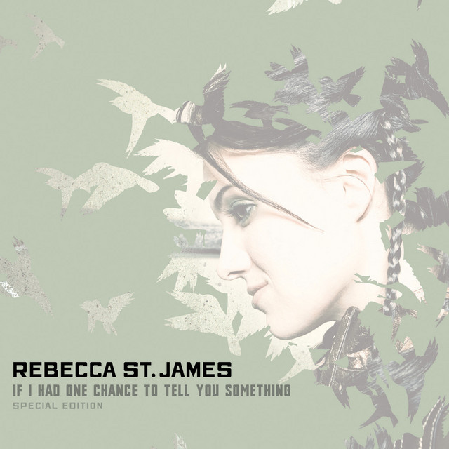 If I Had One Chance To Tell You Something album cover