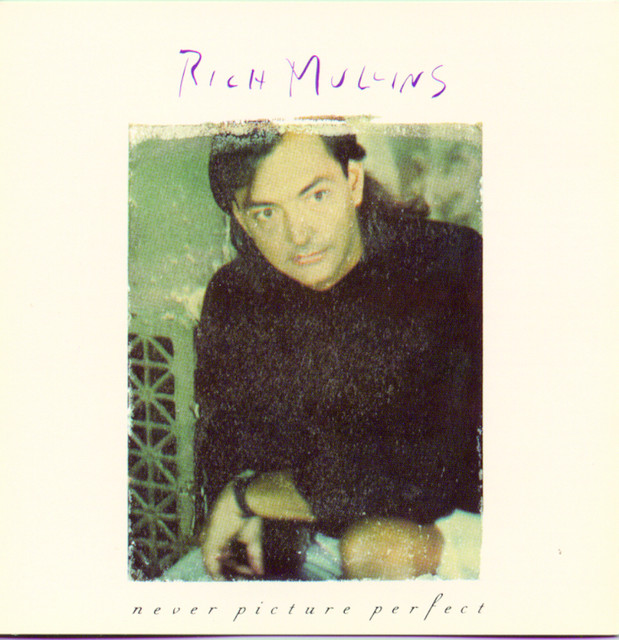Never Picture Perfect album cover