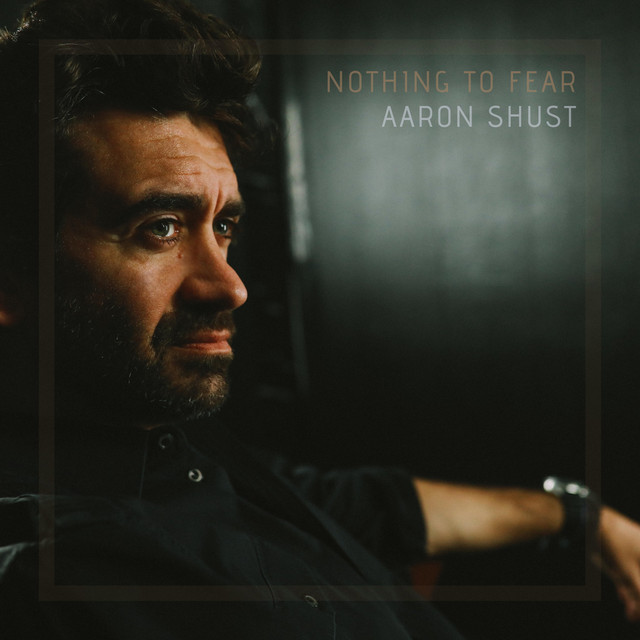 Nothing to Fear album cover