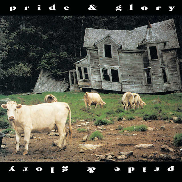 Gibson Dove Acoustic Guitar as heard on pride & glory by Pride and Glory (2018)