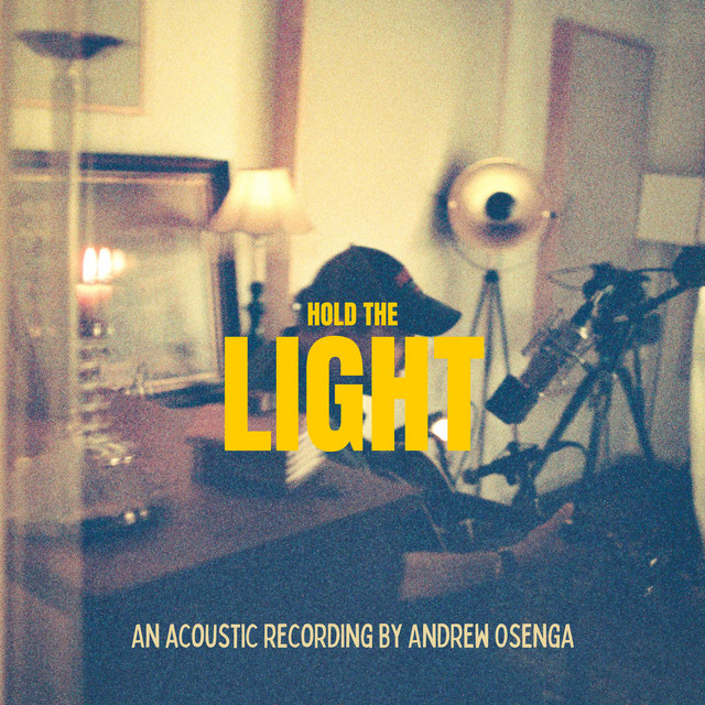 Hold The Light album cover