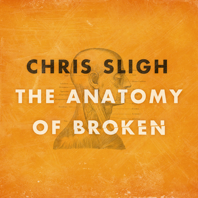 The Anatomy of Broken album cover