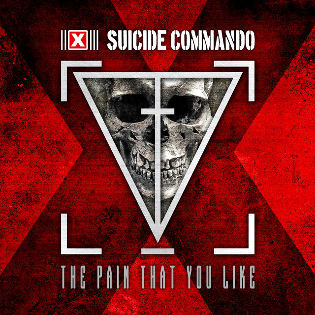 The Pain That You Like album cover
