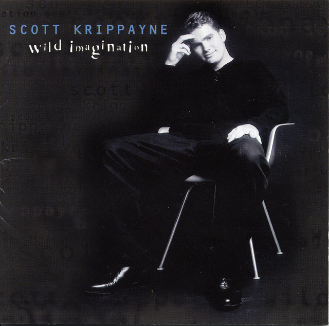 Wild Imagination album cover