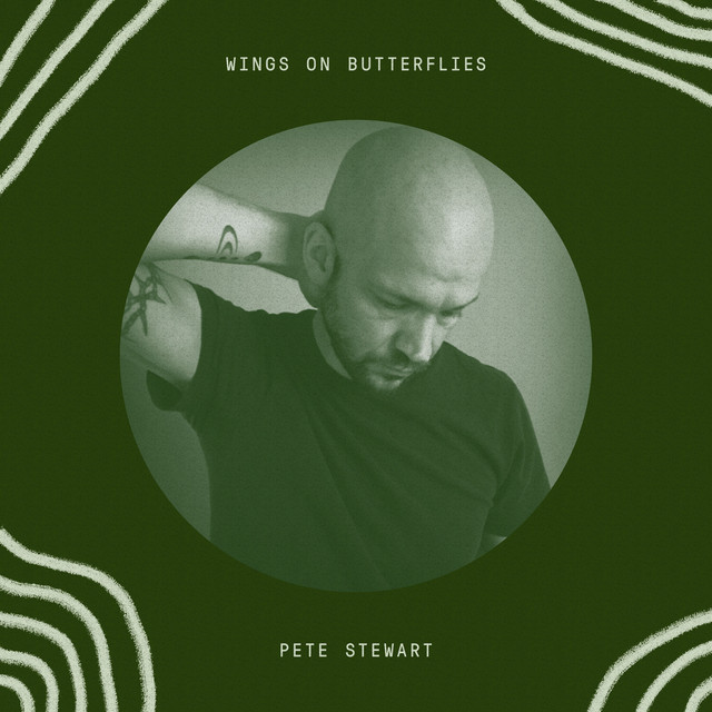 Wings on Butterflies album cover