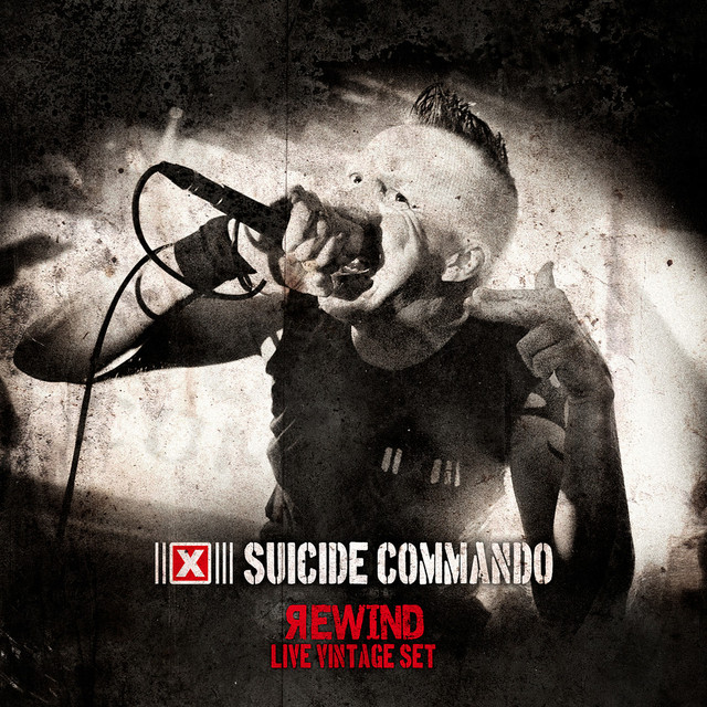 Rewind (Live Vintage Set) album cover