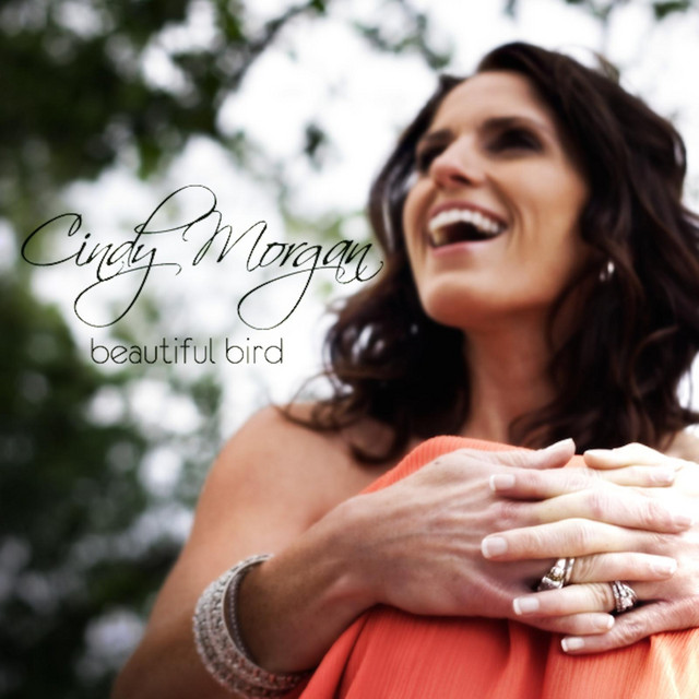 Beautiful Bird album cover