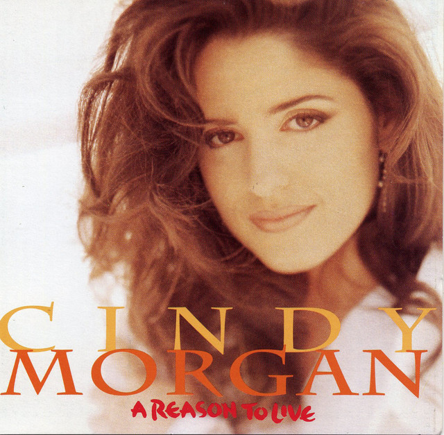 A Reason to Live album cover